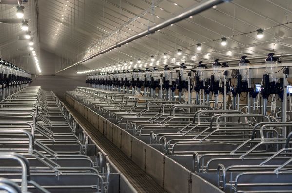 Langlebige Luftfilter gegen Viren